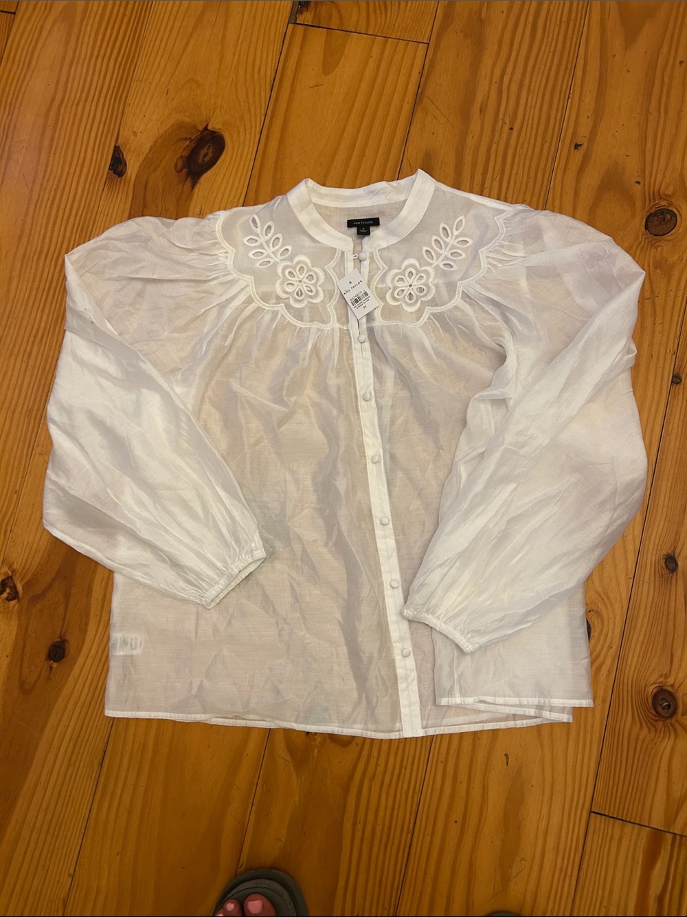Ann Taylor White Sheer Button-Front Blouse with Embroidered Yoke